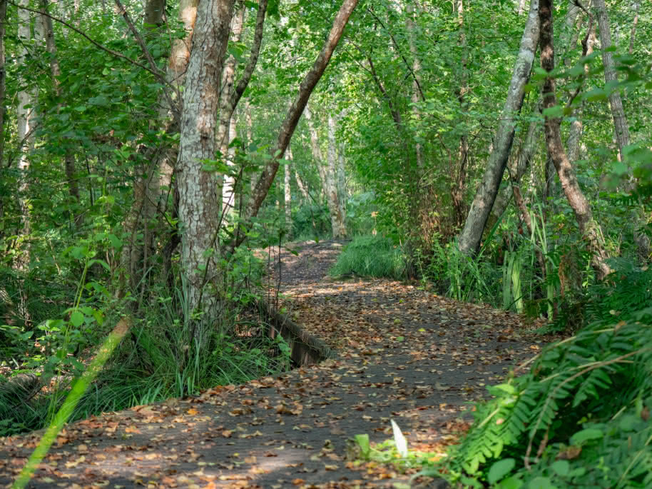 Sentier de la Berle