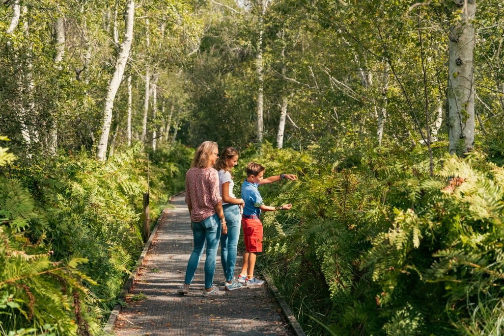 6. La réserve naturelle des Dunes et Marais d'Hourtin Noé Bugnot2