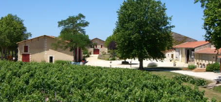 LE TEMPLE DE TOURTEYRON Médoc_Domaine 9